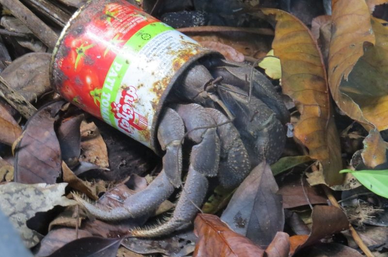 Целеустремлённый ИИ: видит и цель, и препятствия